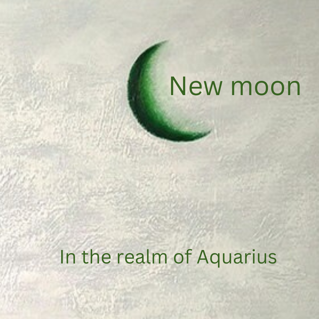 Newness for 2023