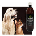 Uncanni CBD Rooibos Oil