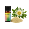 Sceletium Extract