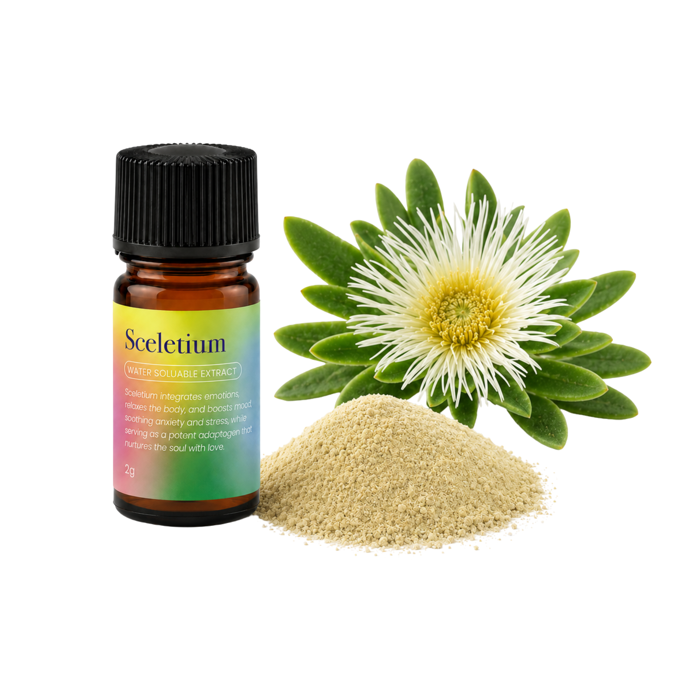 Sceletium Extract