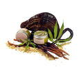 Lin_4-removebg-preview.png