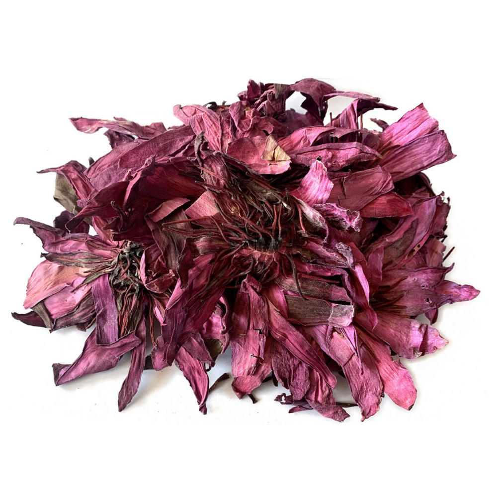 Dried Pink Lotus Flower